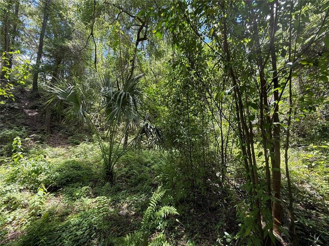 SW 53RD PL, Ocala, FL 34481