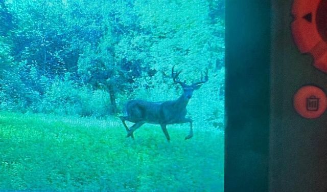 1079 Koshkonong Road, Cambridge, WI 53523