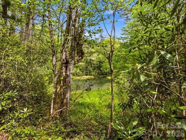 348 Surrey Lane, Brevard, NC 28712