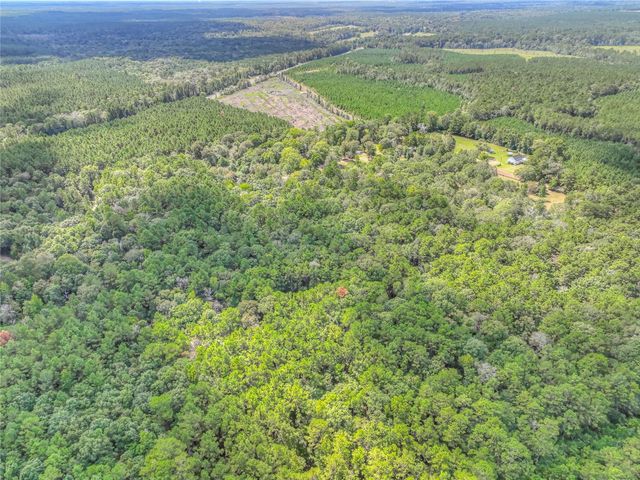 446 County Road 3550, Woodville, TX 75979