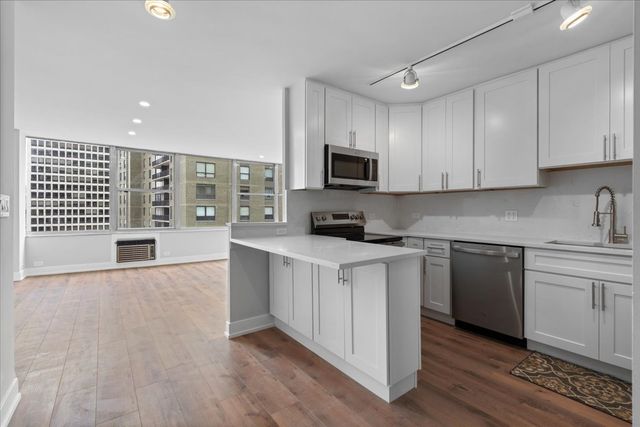 1000 N Lake Shore Drive 2302, Chicago, IL 60611