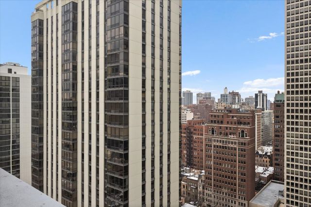 1000 N Lake Shore Drive 2302, Chicago, IL 60611