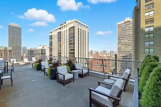 1000 N Lake Shore Drive 2302, Chicago, IL 60611