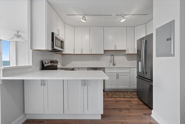 1000 N Lake Shore Drive 2302, Chicago, IL 60611