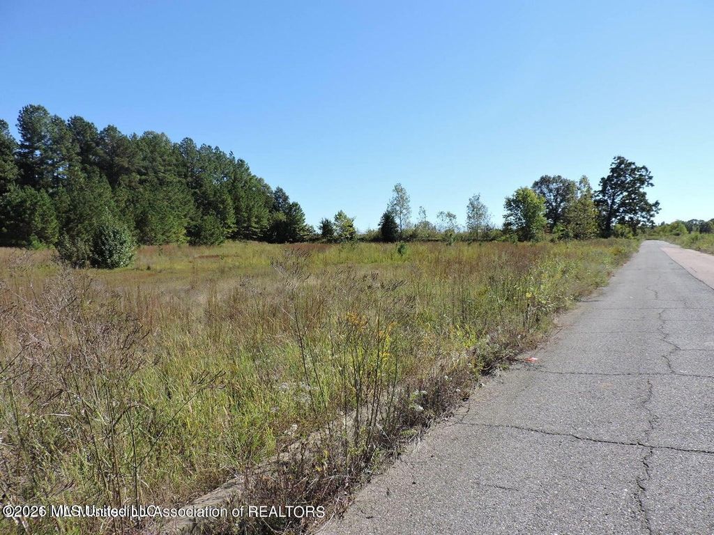 577 Starlanding, Hernando, MS 38632 — photo 2