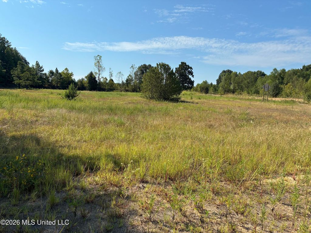 577 Starlanding, Hernando, MS 38632 — photo 3