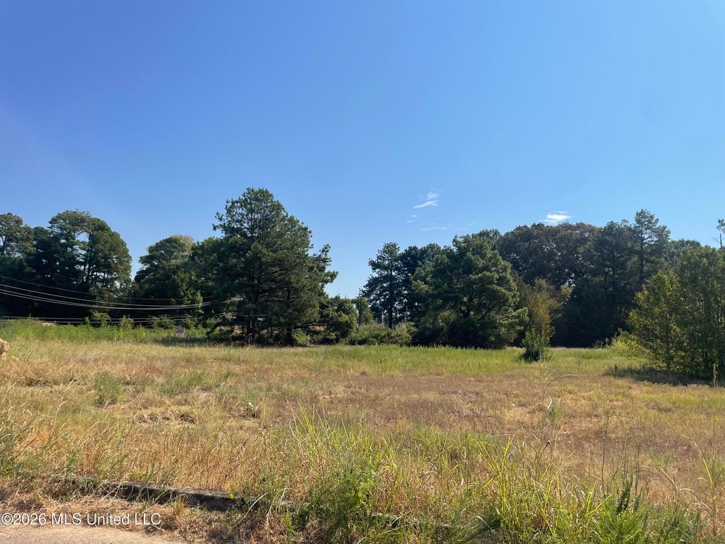 577 Starlanding, Hernando, MS 38632 — photo 4