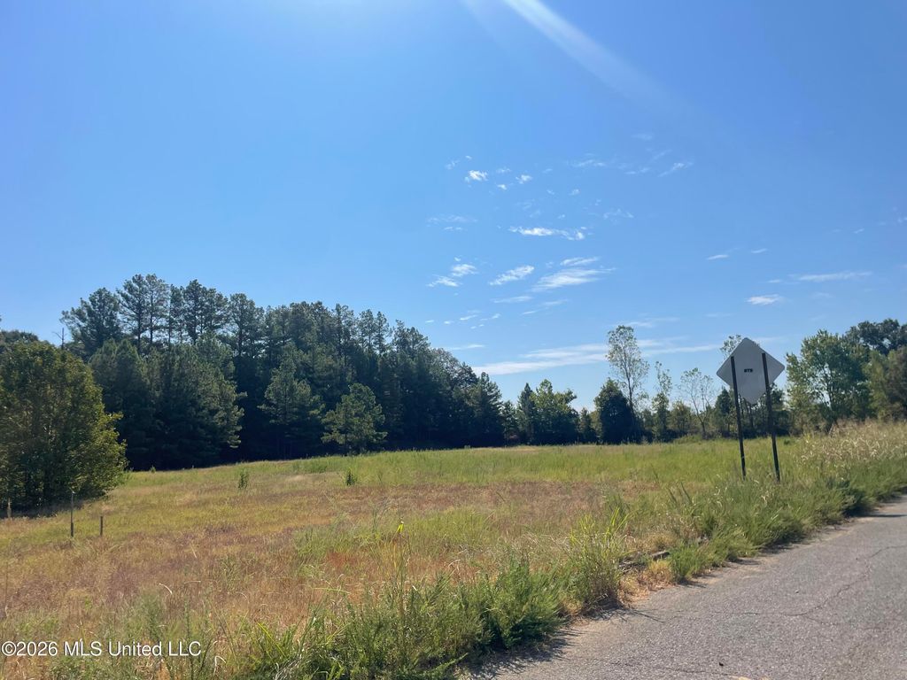 577 Starlanding, Hernando, MS 38632 — photo 5