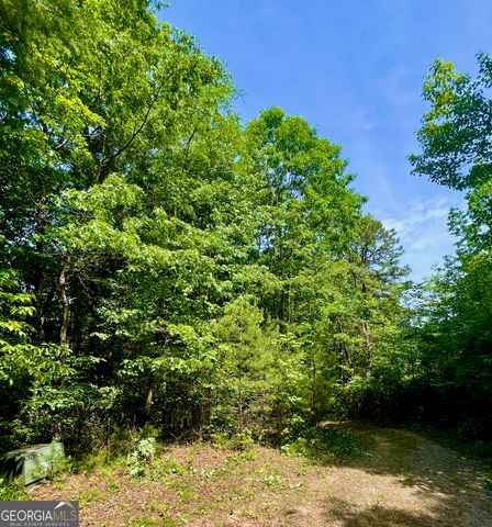 0 Bluff Mtn, Dillard, GA 30537