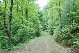 0 Bluff Mtn, Dillard, GA 30537