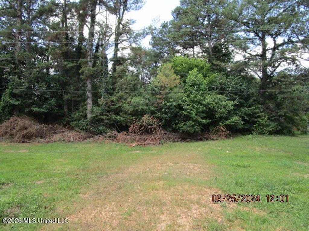 N Stage Road, Coldwater, MS 38618 — photo 2