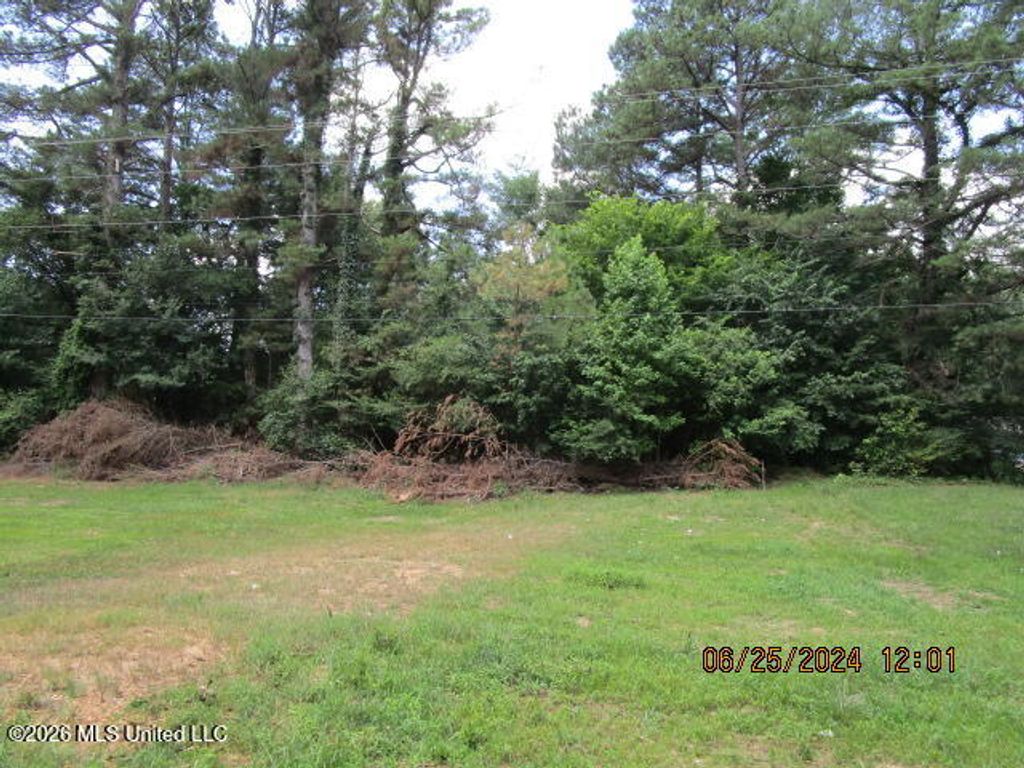 N Stage Road, Coldwater, MS 38618 — photo 3