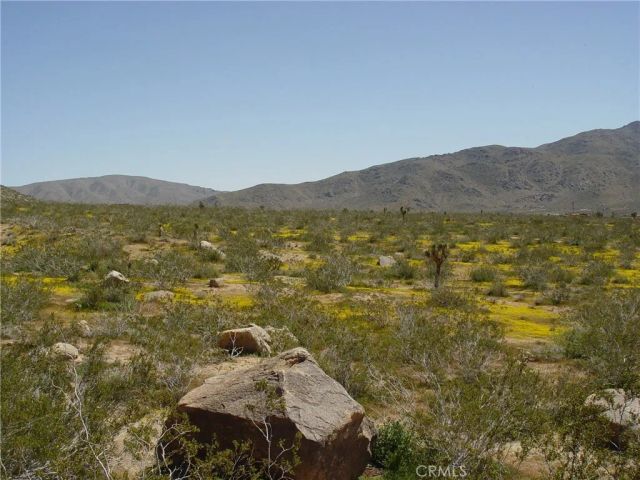 1 Susie, Apple Valley, CA 92307