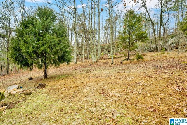 1110 ROCK CREST DRIVE, Mccalla, AL 35111