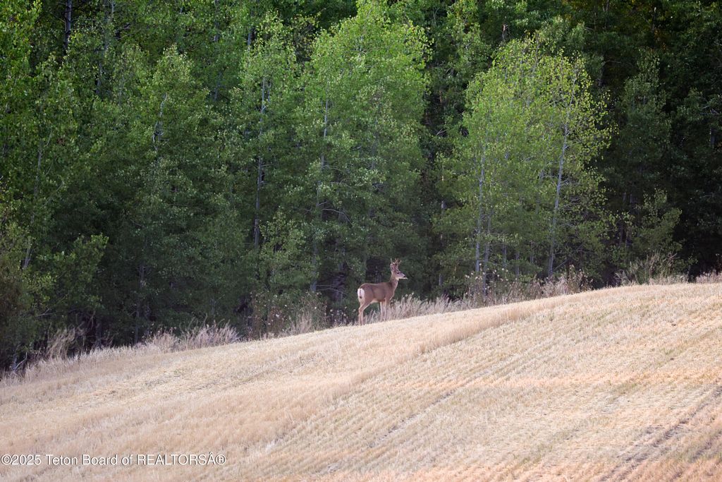 DECKERS PT Road, Felt, ID 83424