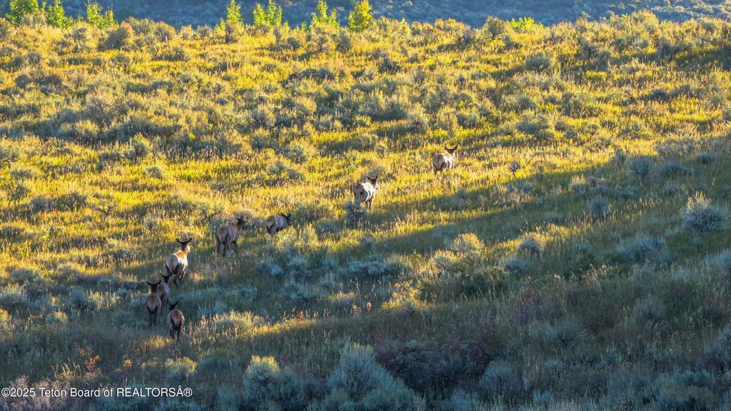 DECKERS PT Road, Felt, ID 83424 photo 3