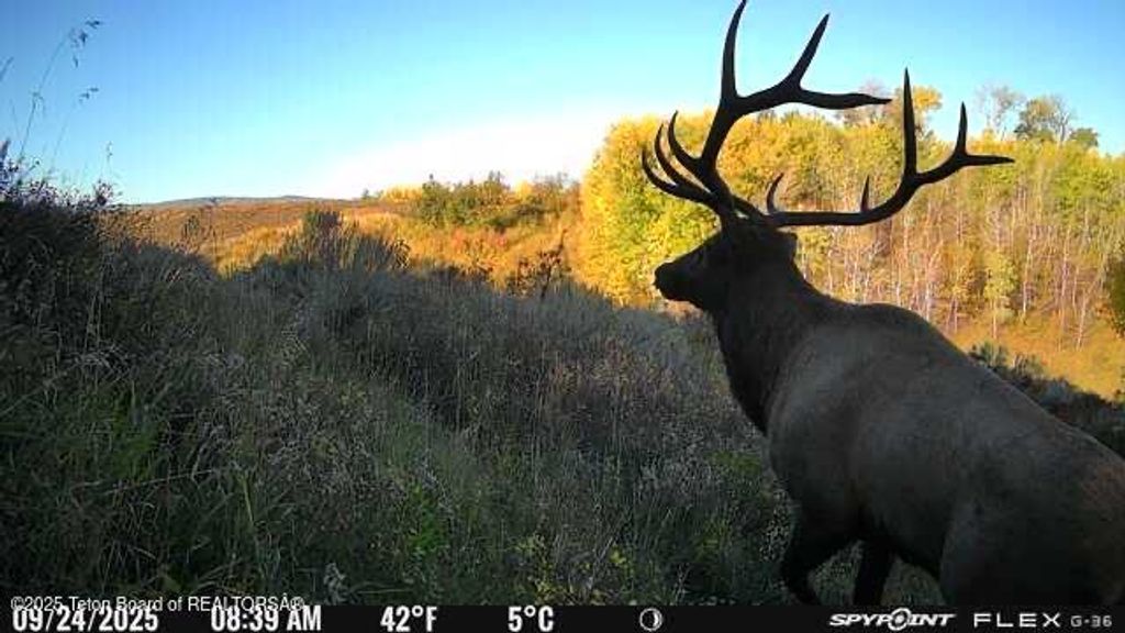 DECKERS PT Road, Felt, ID 83424 photo 4