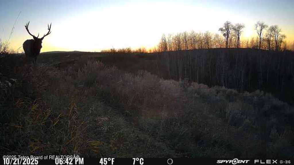 DECKERS PT Road, Felt, ID 83424 photo 5