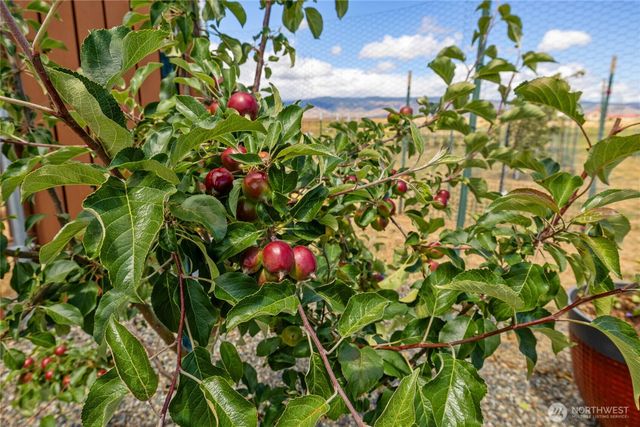 1630 Bitterbrush Drive, Ellensburg, WA 98926