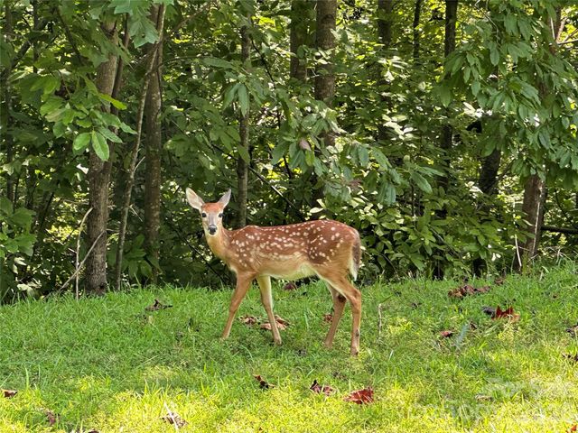 Lots 22 & 23 Lake Adger Parkway, Mill Spring, NC 28756