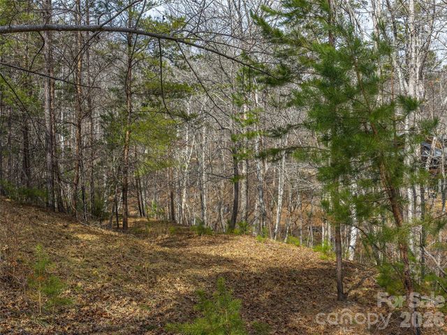 Lots 22 & 23 Lake Adger Parkway, Mill Spring, NC 28756