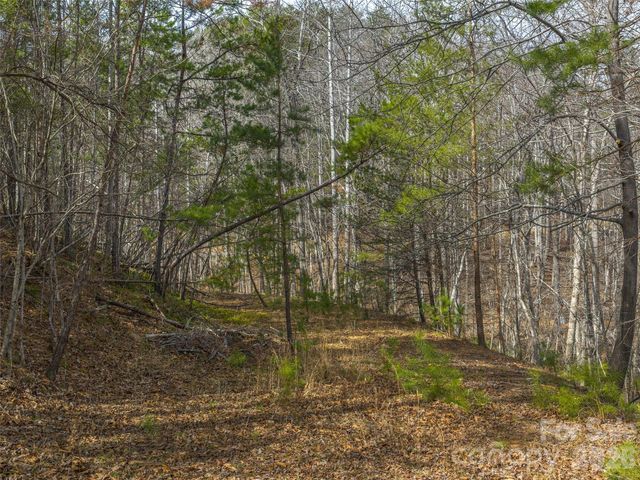 Lots 22 & 23 Lake Adger Parkway, Mill Spring, NC 28756