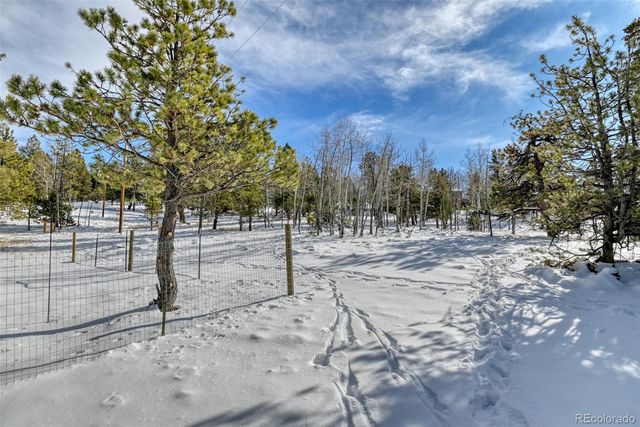 24 Big Horn Circle, Florissant, CO 80816