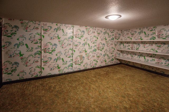 13222 176th Street, Wadena, MN 56482