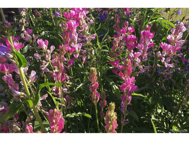 8704 Yucca St, Arvada, CO 80007