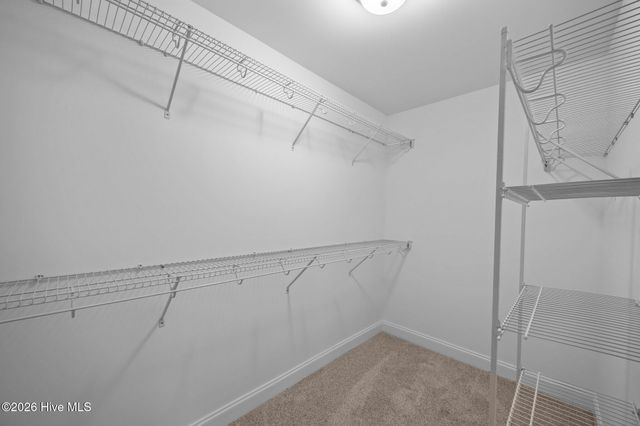 2309 Rhinestone Drive, Winterville, NC 28590