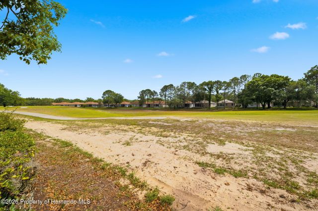14458 Tamarind Loop, Spring Hill, FL 34609