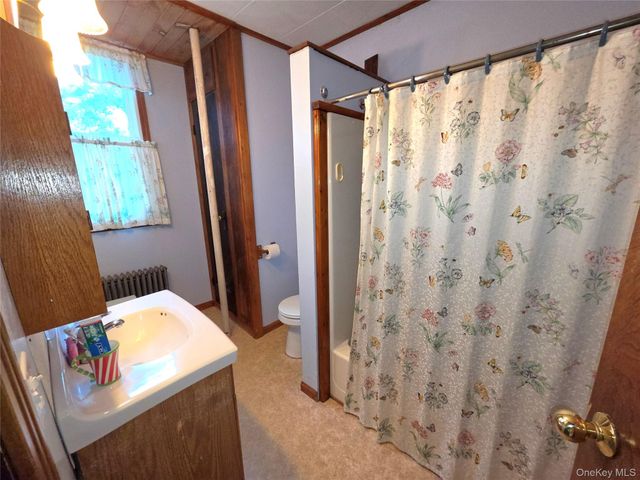 3019 Rt 17B, Cochecton, NY 12726