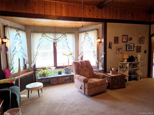 3019 Rt 17B, Cochecton, NY 12726