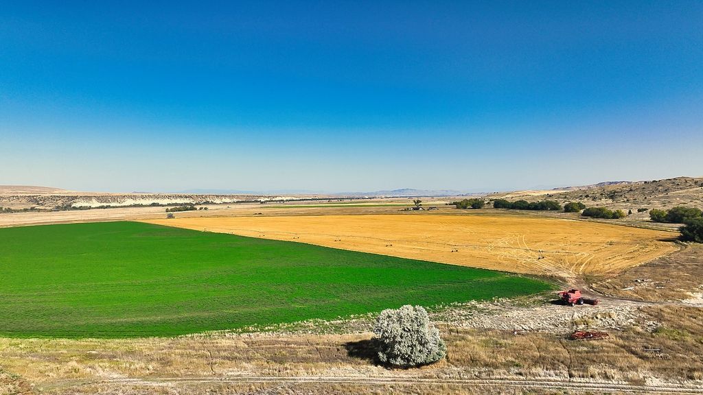 14917 Buffalo Jump Road, Three Forks, MT 59752 photo 19