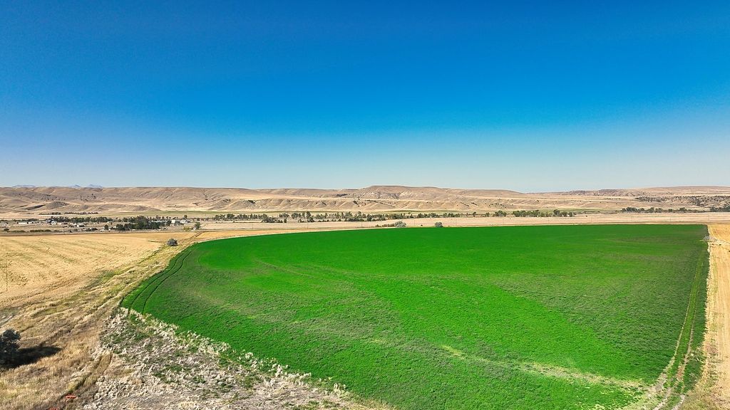 14917 Buffalo Jump Road, Three Forks, MT 59752 photo 29