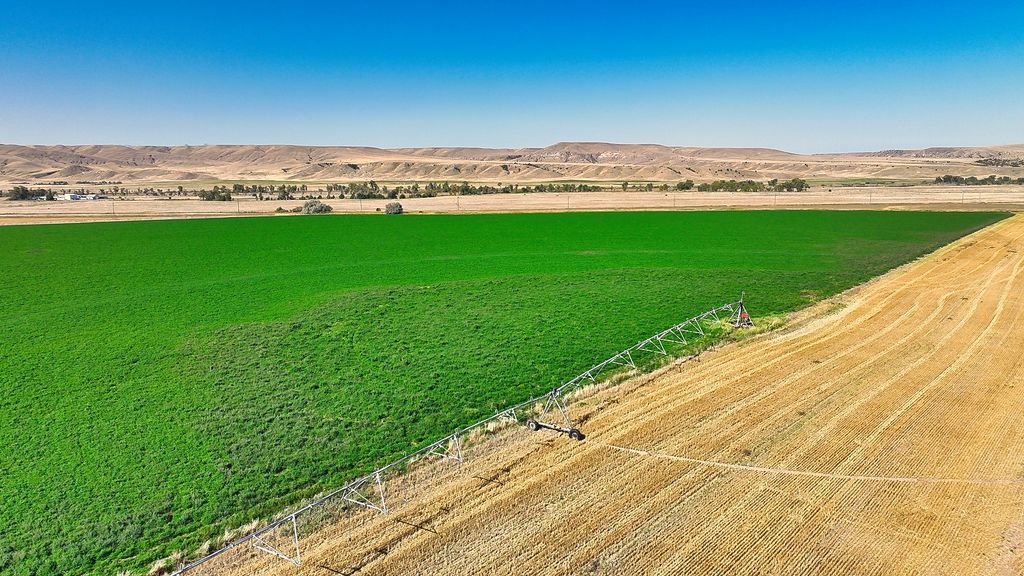 14917 Buffalo Jump Road, Three Forks, MT 59752 photo 35