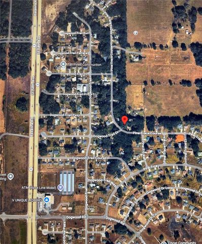 41 PINE TRACE COURSE, Ocala, FL 34472