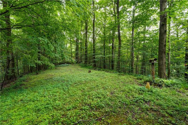 2880 Arcadia Zurich Norris Road, Arcadia, NY 14513