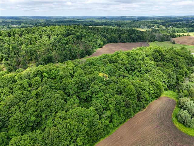 2880 Arcadia Zurich Norris Road, Arcadia, NY 14513