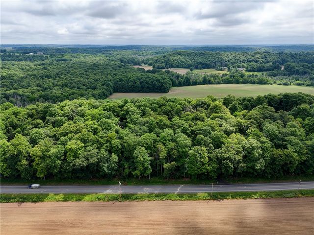 2880 Arcadia Zurich Norris Road, Arcadia, NY 14513