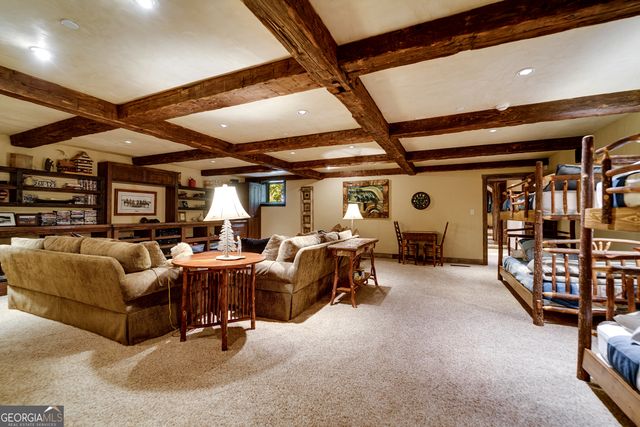 1 Burton Island, Tiger, GA 30576