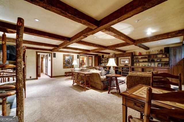 1 Burton Island, Tiger, GA 30576