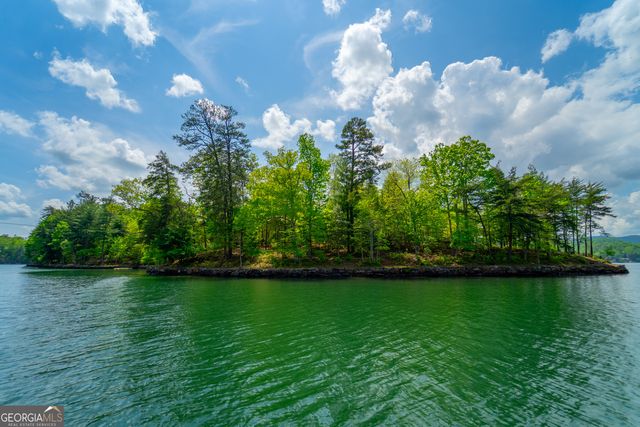 1 Burton Island, Tiger, GA 30576