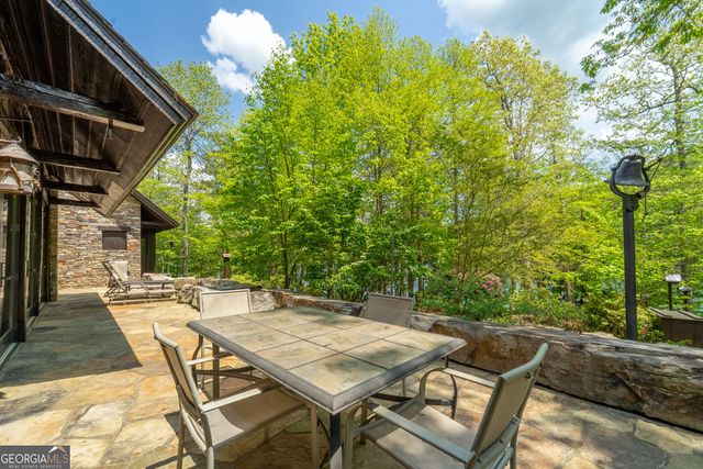 1 Burton Island, Tiger, GA 30576