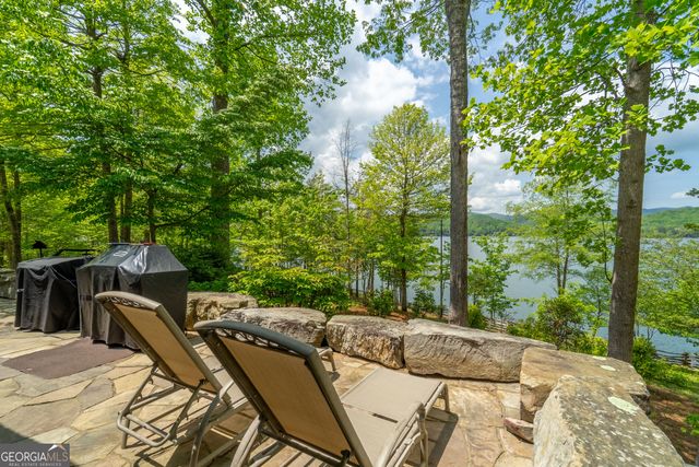 1 Burton Island, Tiger, GA 30576