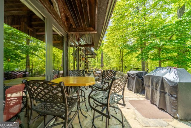 1 Burton Island, Tiger, GA 30576