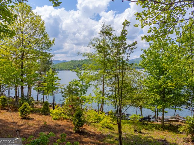 1 Burton Island, Tiger, GA 30576