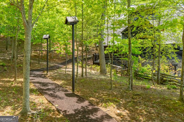 1 Burton Island, Tiger, GA 30576