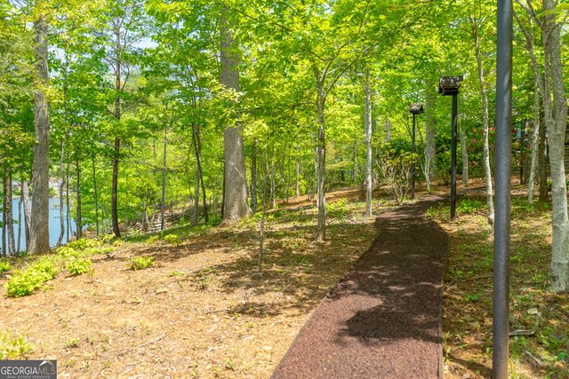 1 Burton Island, Tiger, GA 30576