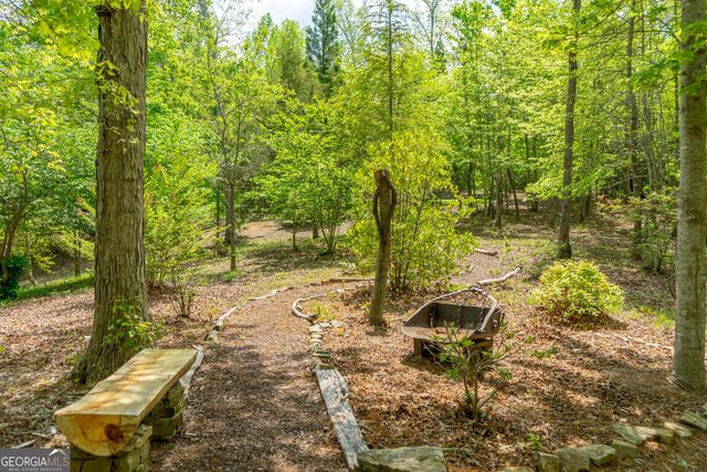 1 Burton Island, Tiger, GA 30576